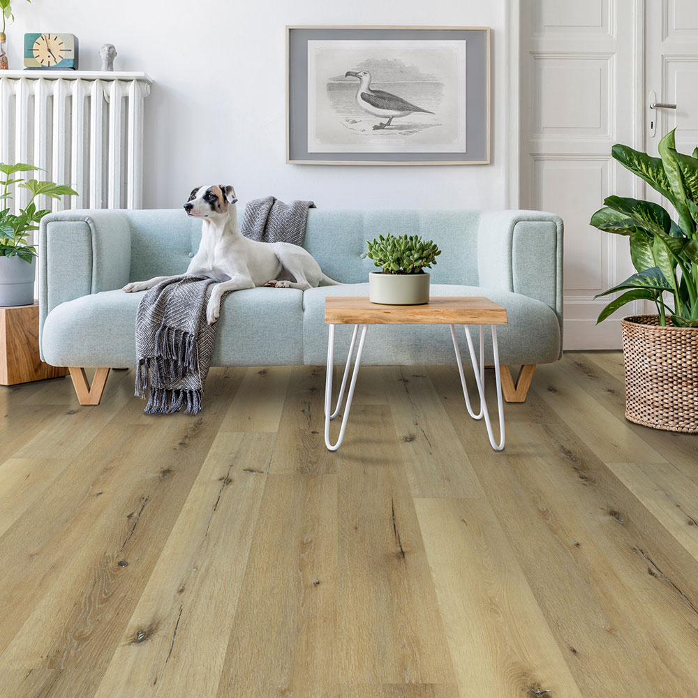 Hawk's Ridge - White Washed